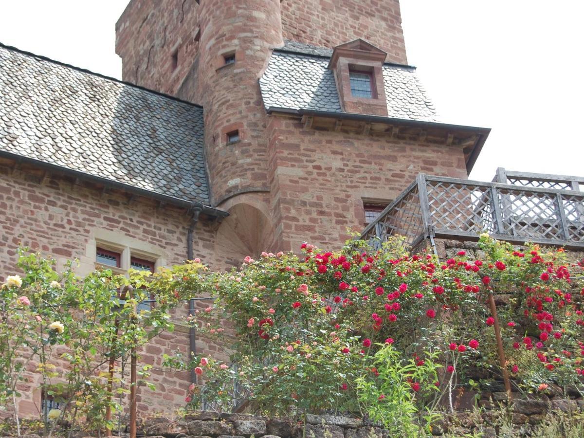 Chateau La Servayrie - Chambre D'Hotes Marcillac-Vallon Екстериор снимка